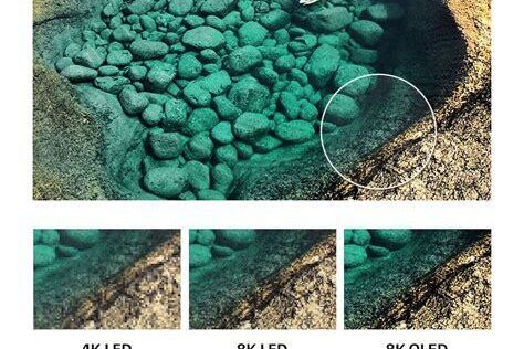 Analog vs. Dijital Fotoğrafçılık: Görüntü Kalitesi Karşılaştırması