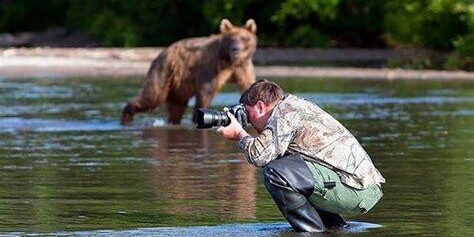 Başarılı bir Vahşi Yaşam Fotoğrafçısı Olmanın Sırları