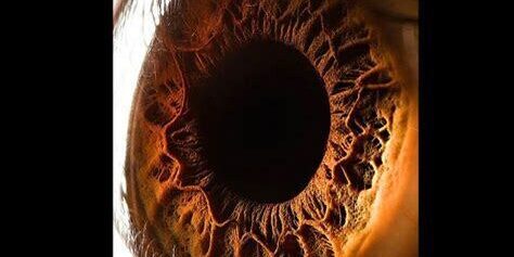 Belgesel Fotoğrafçılıkta Yakın Çekim: Detaylarla Anlam Derinliği Oluşturmak
