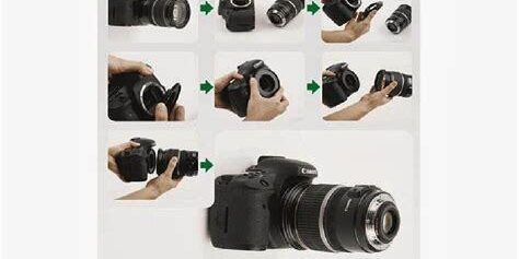 Bridge Kameralarla Makro Fotoğrafçılık Sanatı Bridge Kameralarla Makro Fotoğrafçılık Sanatı
