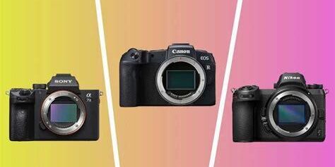 Canon Aynasız Makineler Mi Daha İyi Nikon Aynasız Makineler Mi?