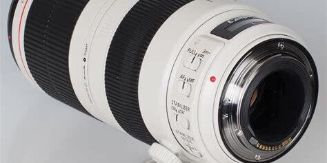Canon EF 100-400mm f/4.5-5.6L IS II USM Lens Detaylı İnceleme Canon EF 100-400mm f/4.5-5.6L IS II USM Lens Detaylı İnceleme