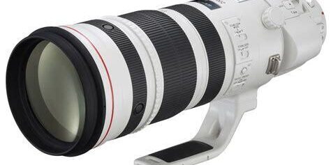 Canon EF 200-400mm f/4L IS USM Extender 1.4x Lens Detaylı İnceleme Canon EF 200-400mm f/4L IS USM Extender 1.4x Lens Detaylı İnceleme