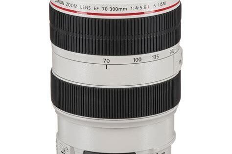 Canon EF 70-300mm f/4-5.6 IS USM Lens Detaylı İnceleme