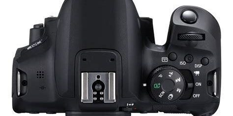 Canon EOS 850D: 2020’de Amatör Fotoğrafçılar İçin Yüksek Kaliteli DSLR Deneyimi