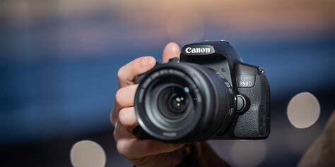 Canon EOS 850D ile Doğa ve Manzara Fotoğrafçılığında Detay ve Renk Zenginliği