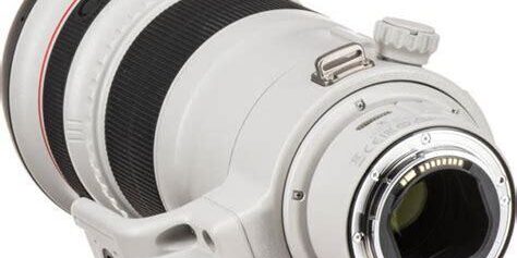 Canon RF 100-300mm F/2.8L IS USM Lens Detaylı İnceleme