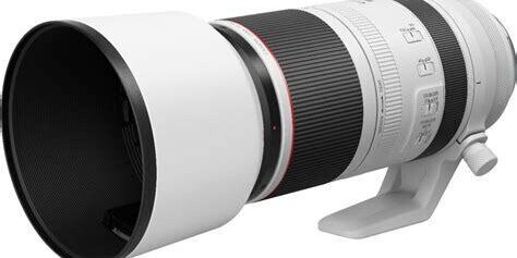 Canon RF 100-500mm F/4.5-7.1L IS USM Lens Detaylı İnceleme