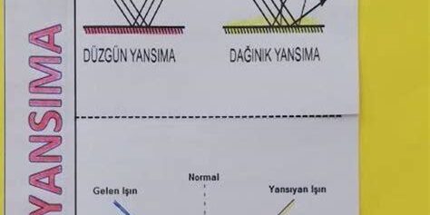 Doku ve Detaylar: Soyut Çekimlerde Yüzeyin Önemi