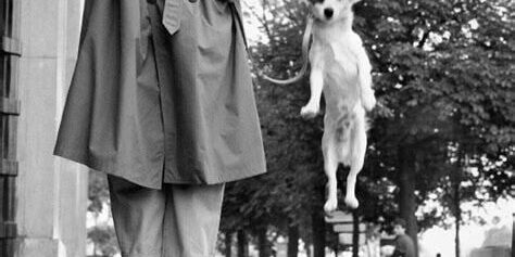 "Elliott Erwitt" Tarzında Sokak Fotoğrafçılığı
