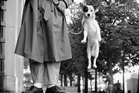 "Elliott Erwitt" Tarzında Sokak Fotoğrafçılığı