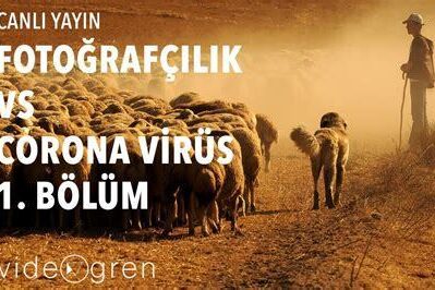 Fotoğraf Arşivleme: Başlangıçtan Uzmanlığa