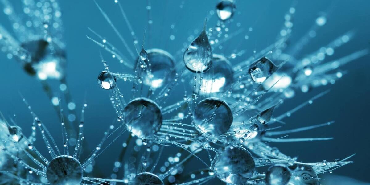 H2O’nun Mikro Dünyası: Su Damlaları ve Close-Up Filtreler H2O’nun Mikro Dünyası: Su Damlaları ve Close-Up Filtreler