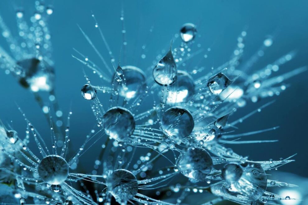 H2O’nun Mikro Dünyası: Su Damlaları ve Close-Up Filtreler