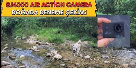 Hareket Halindeki Hayvanları Fotoğraflamak: Doğada Aksiyon Hareket Halindeki Hayvanları Fotoğraflamak: Doğada Aksiyon