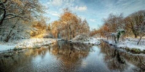 HDR Tekniği ile Vahşi Yaşam Fotoğraflarında Detay Zenginliği