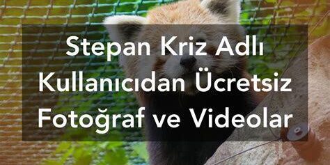 Kriz Anlarında Fotoğrafçılık: Acil Durumların Hikayesini Kaydetmek Kriz Anlarında Fotoğrafçılık: Acil Durumların Hikayesini Kaydetmek