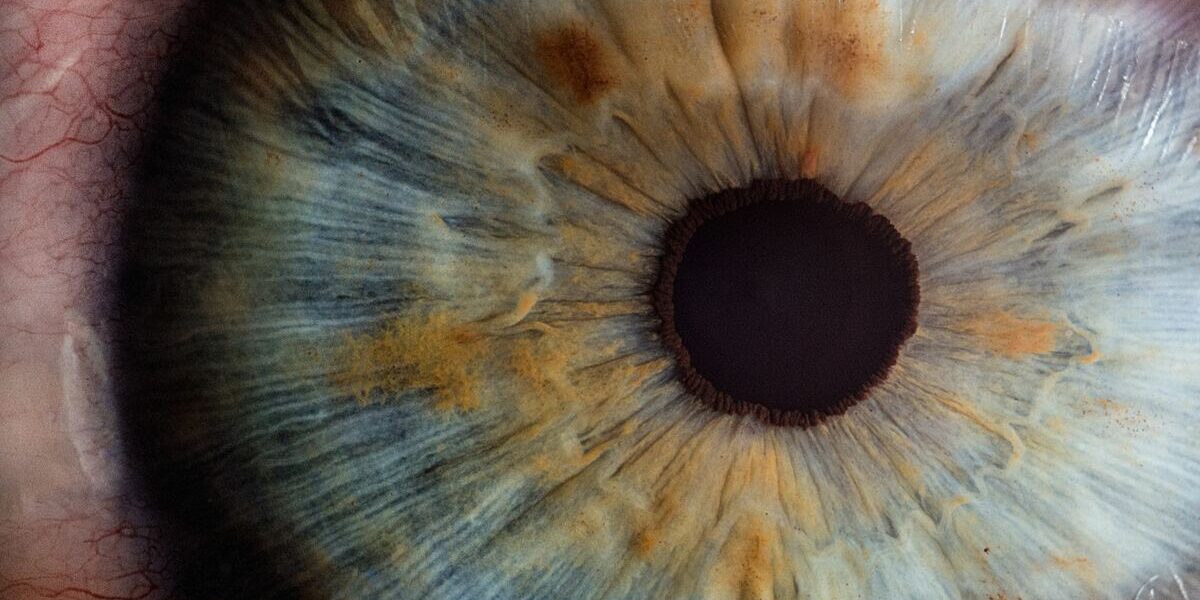 Küçük Nesneler Büyük İzlenimler: Close-Up Filtre Teknikleri Küçük Nesneler Büyük İzlenimler: Close-Up Filtre Teknikleri