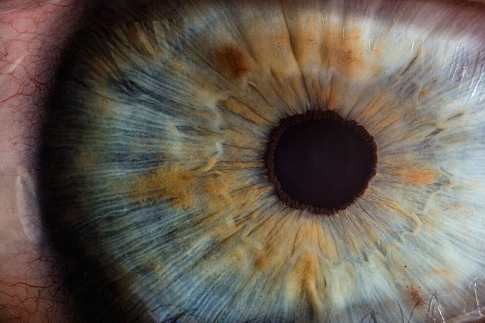 Küçük Nesneler Büyük İzlenimler: Close-Up Filtre Teknikleri