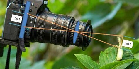 Makro Fotoğrafçılıkta Farklı Ortamların Kullanımı Makro Fotoğrafçılıkta Farklı Ortamların Kullanımı