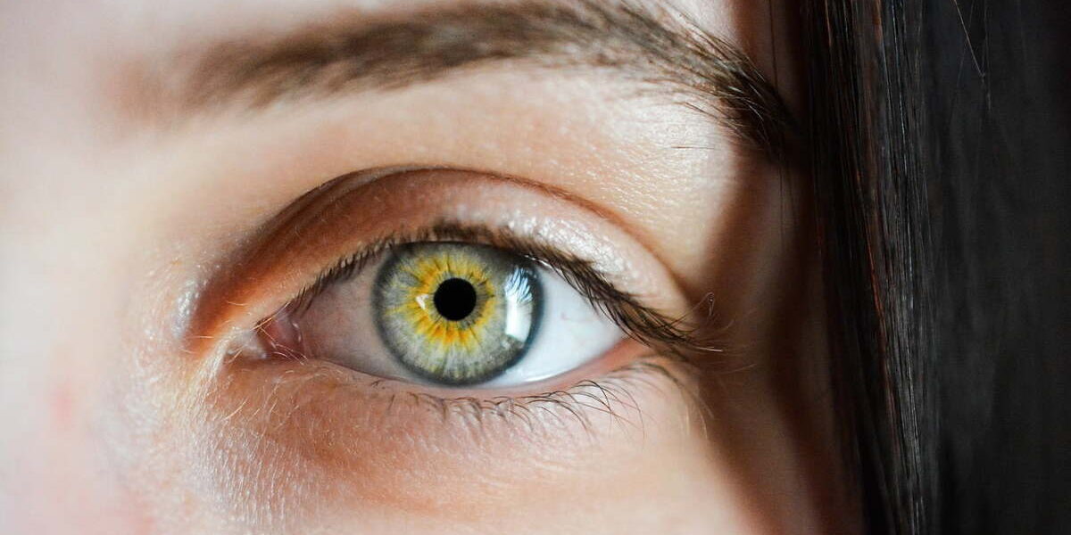 Makro Fotoğrafçılıkta Portre Çekimleri Makro Fotoğrafçılıkta Portre Çekimleri