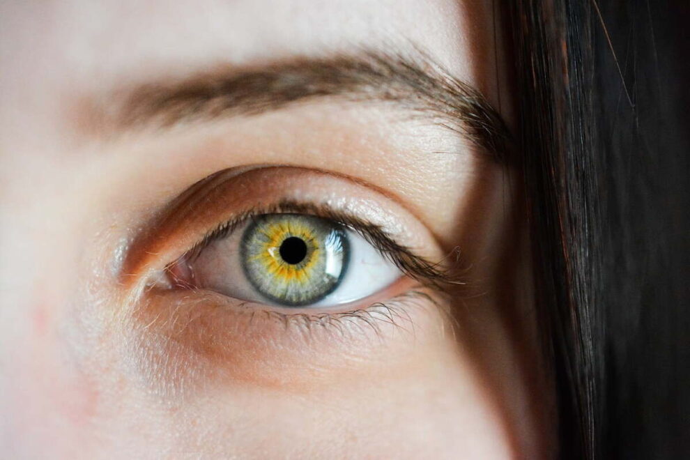 Makro Fotoğrafçılıkta Portre Çekimleri