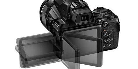 Nikon Coolpix P950: Kuş ve Vahşi Yaşam Fotoğrafçılığında Mükemmel Fotoğraf Makinesi