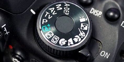 Orta Format Fotoğraf Makinelerinde Maksimum Çözünürlüğün Keyfini Çıkarın Orta Format Fotoğraf Makinelerinde Maksimum Çözünürlüğün Keyfini Çıkarın
