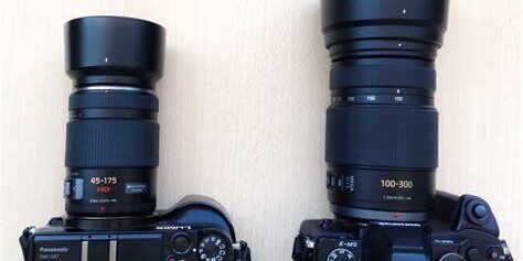 Panasonic Lumix G Vario 100-300mm f/4-5.6 II POWER O.I.S. Lens Detaylı İnceleme