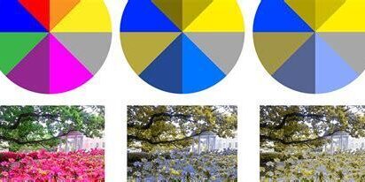 Prime Lenslerle Çekilen Fotoğraflarda Renk Yönetimi Prime Lenslerle Çekilen Fotoğraflarda Renk Yönetimi