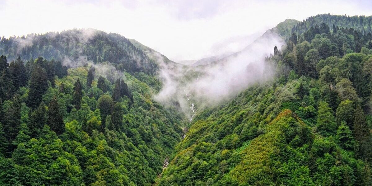 Rize’nin Doğa Harikaları: Ayder Yaylası’nın En Güzel Fotoğraf Çekim Mekanları