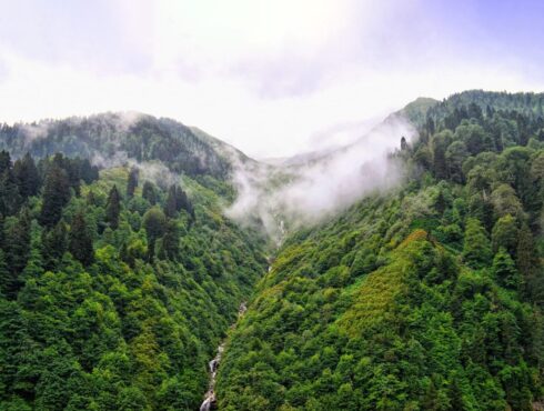 Rize’nin Doğa Harikaları: Ayder Yaylası’nın En Güzel Fotoğraf Çekim Mekanları