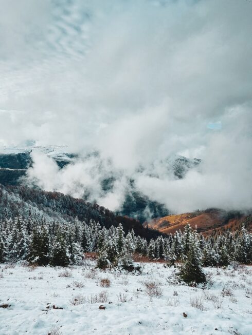Rize’nin Doğa Harikaları: Ayder Yaylası’nın En Güzel Fotoğraf Çekim Mekanları