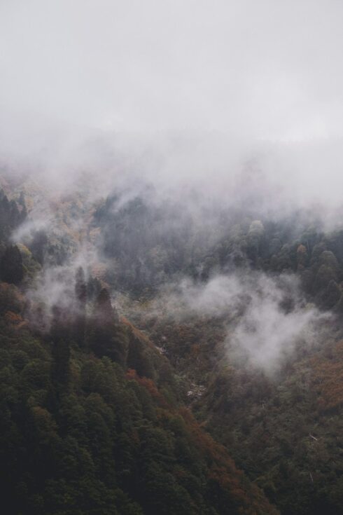 Rize’nin Doğa Harikaları: Ayder Yaylası’nın En Güzel Fotoğraf Çekim Mekanları