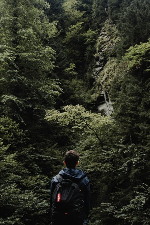 Rize’nin Doğa Harikaları: Ayder Yaylası’nın En Güzel Fotoğraf Çekim Mekanları
