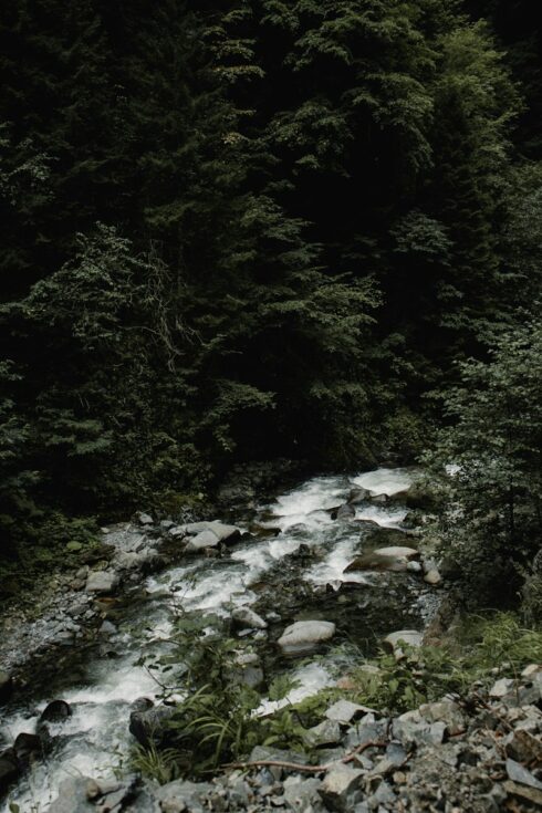 Rize’nin Doğa Harikaları: Ayder Yaylası’nın En Güzel Fotoğraf Çekim Mekanları