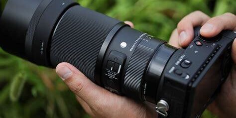 Sigma 105mm f/2.8 DG DN Macro Art Lens (Sony E) Detaylı İnceleme