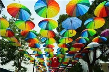 Sokak Çiçekçileri Fotoğrafçılığı: Renk Cümbüşü Tezgahlar