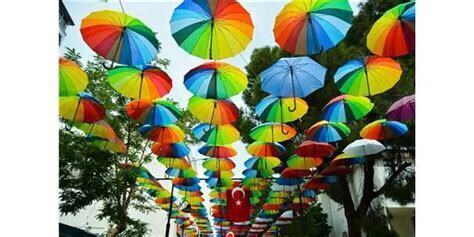 Sokak Çiçekçileri Fotoğrafçılığı: Renk Cümbüşü Tezgahlar