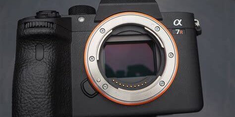 Sony Alpha A7R Mark III: Detay ve Renk Doğruluğunda Olağanüstü Performans Sunan Model