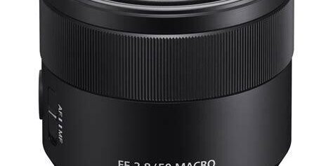 Sony FE 50mm F/2.8 Macro Lens Detaylı İnceleme Sony FE 50mm F/2.8 Macro Lens Detaylı İnceleme