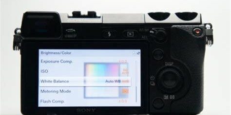 Sony NEX-5R: Kullanıcı Dostu Arayüzü ve Esnek Özellikleriyle Mükemmel Giriş Seviyesi Kamera