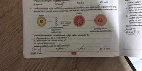 Spor Çekimlerinde Çevre Koşullarına Uyum Sağlamak Spor Çekimlerinde Çevre Koşullarına Uyum Sağlamak