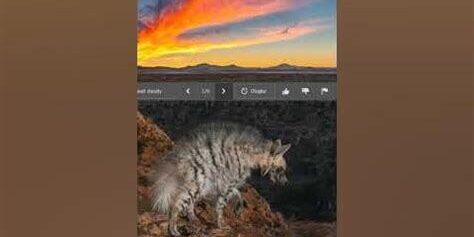 Vahşi Yaşam Fotoğrafçılığında Başlangıç Rehberi