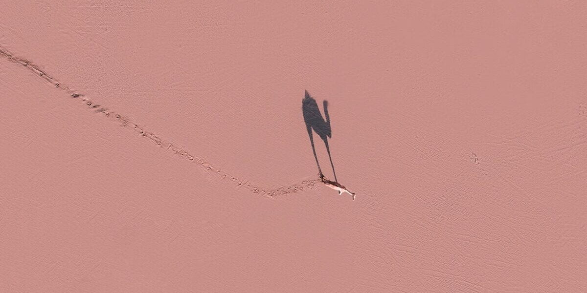 Drone Çekimlerinde Işık ve Gölge Kullanımı Drone Çekimlerinde Işık ve Gölge Kullanımı